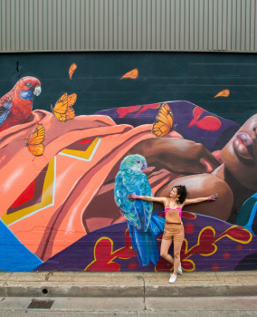 Flourish: Story Of A Diaspora Mural